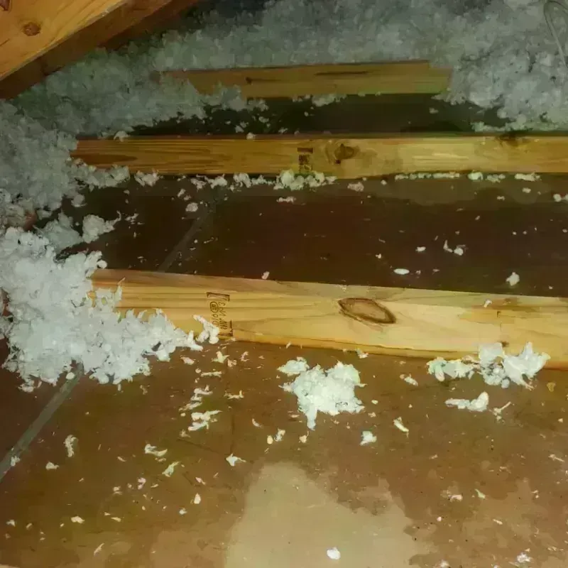 Attic Water Damage in South Milwaukee, WI