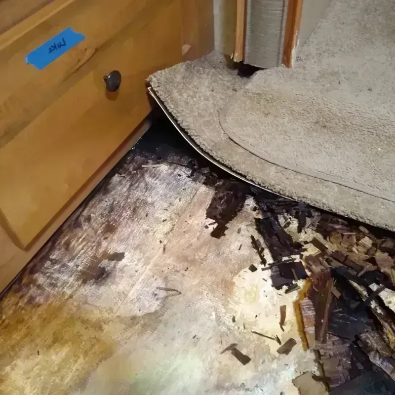 Wood Floor Water Damage in South Milwaukee, WI